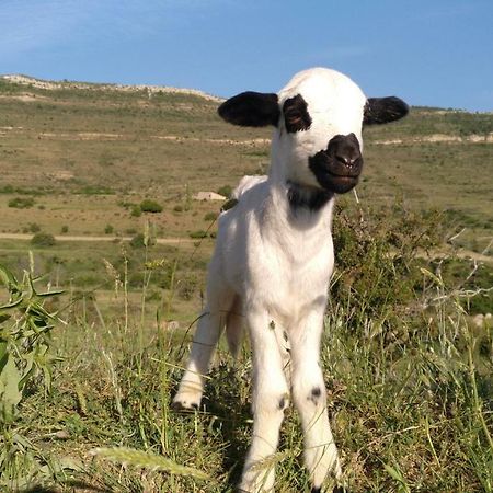 Casa Rural Chulilla Villarroya de los Pinares Zewnętrze zdjęcie