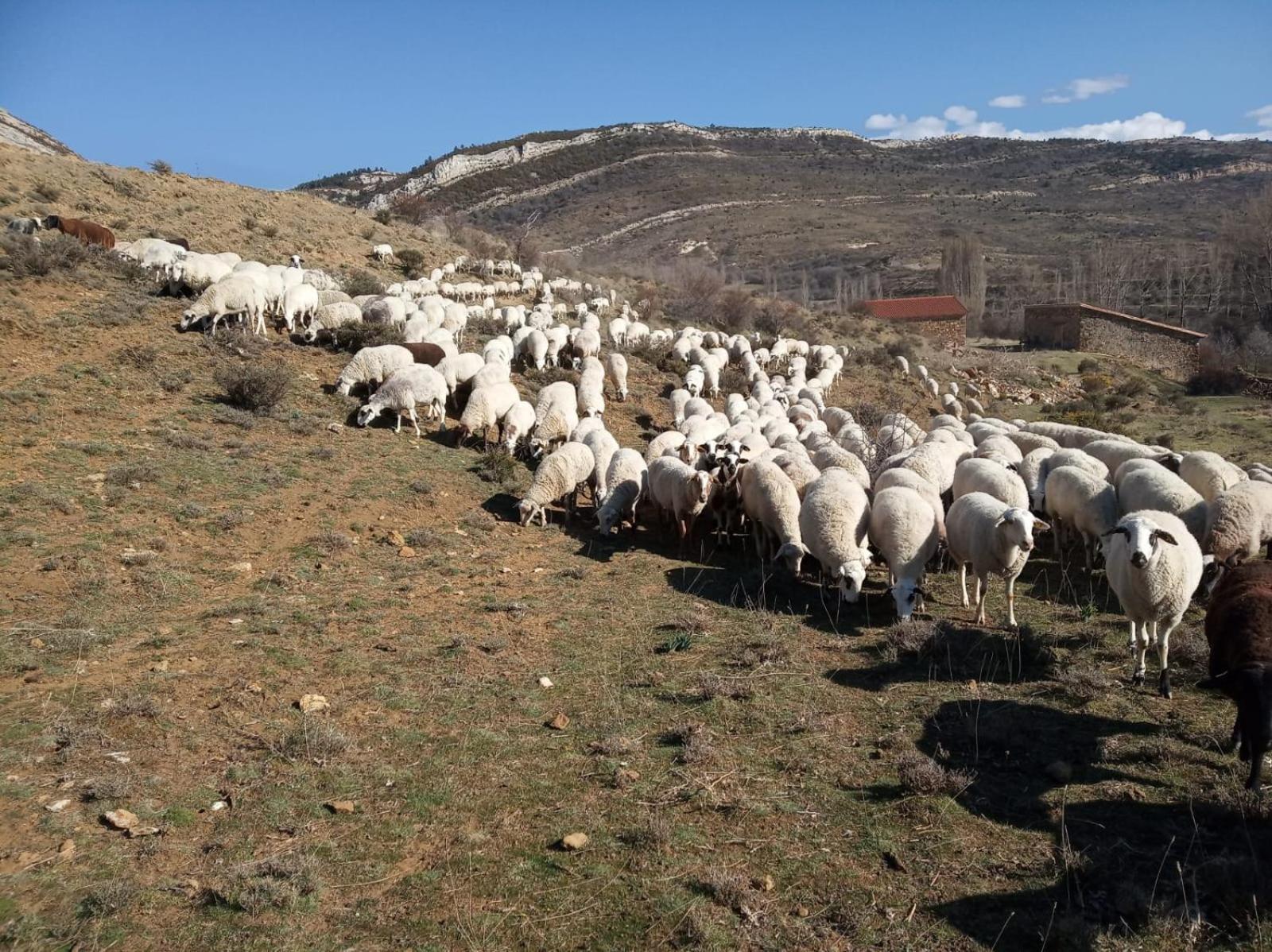 Casa Rural Chulilla Villarroya de los Pinares Zewnętrze zdjęcie
