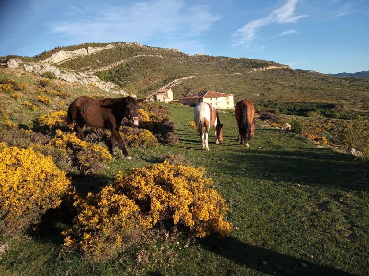 Casa Rural Chulilla Villarroya de los Pinares Zewnętrze zdjęcie