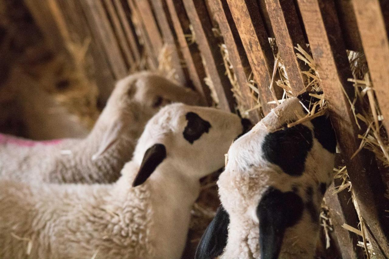 Casa Rural Chulilla Villarroya de los Pinares Zewnętrze zdjęcie